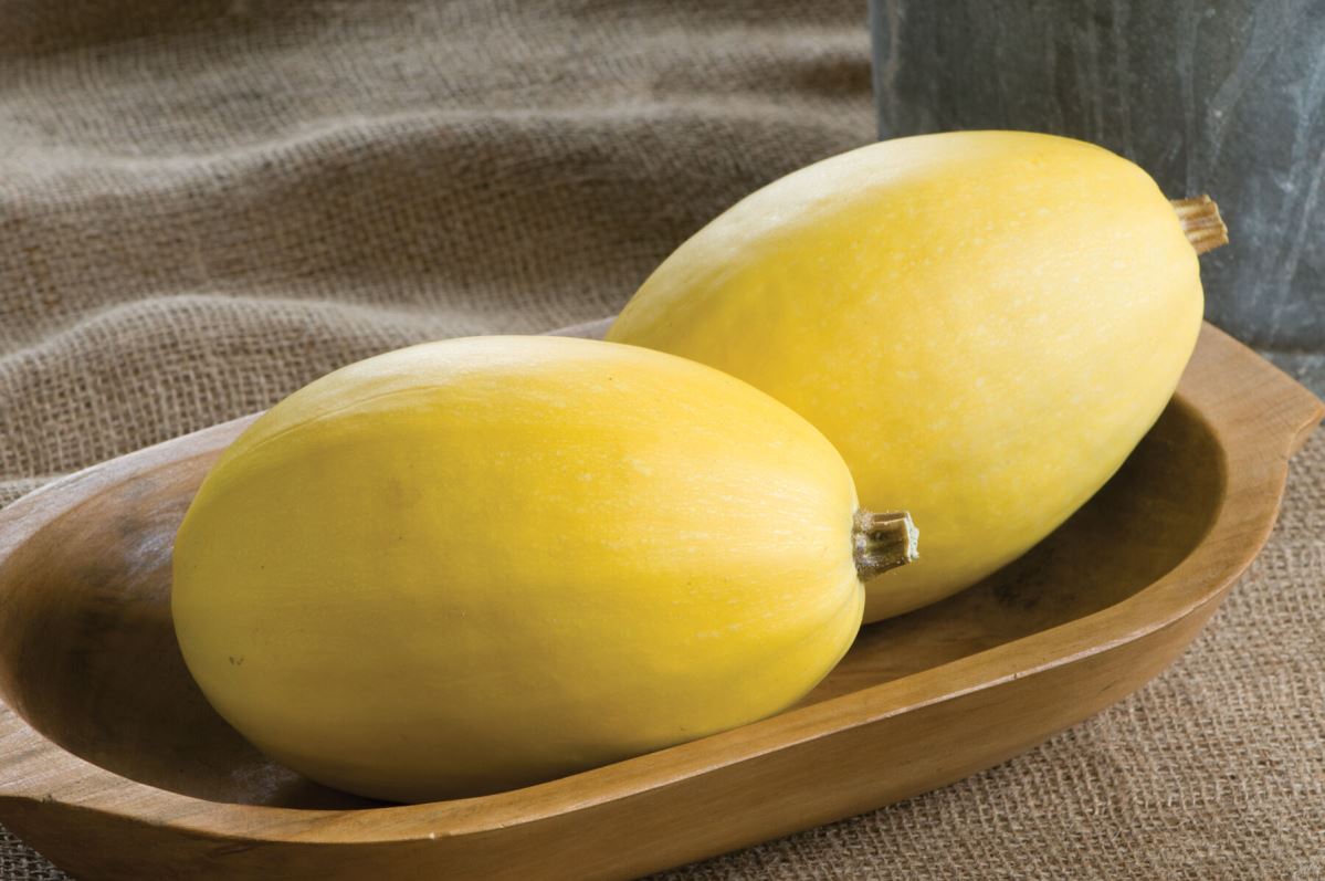 Pinnacle – Spaghetti Squash Seed
